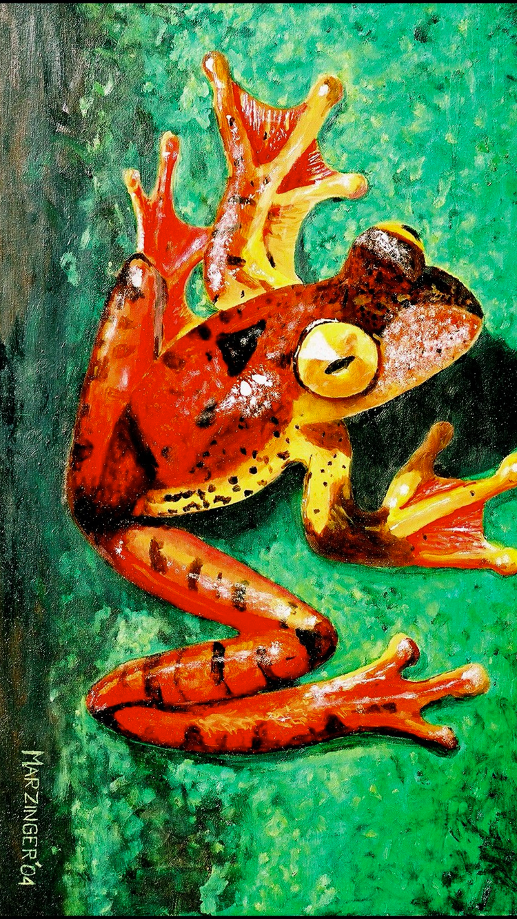 Eat the frog Wallpaper